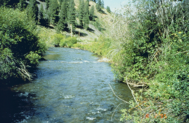 An image of the middle section of Panther Creek