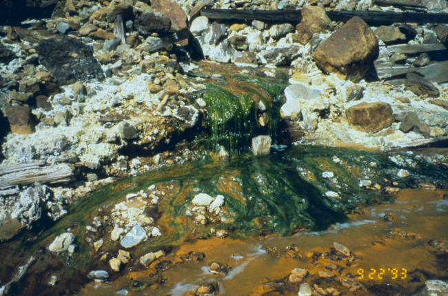 Acid mine drainage, the orange color is from iron precipitate