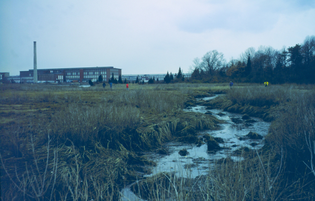 The marsh on the Fairhaven side of New Bedford Harbor looking across at the oldfactories