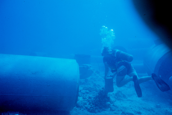 Diver laying transect line for conducting fish survey
