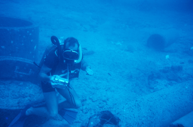 Underwater tape recorders were used to record the number and size of each fish species on a set transect