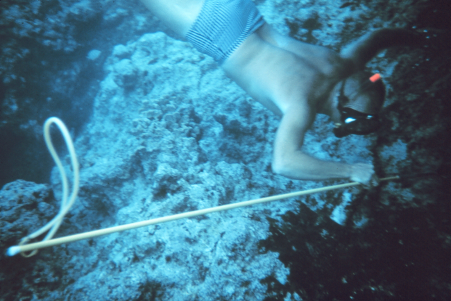 Free diving with spear