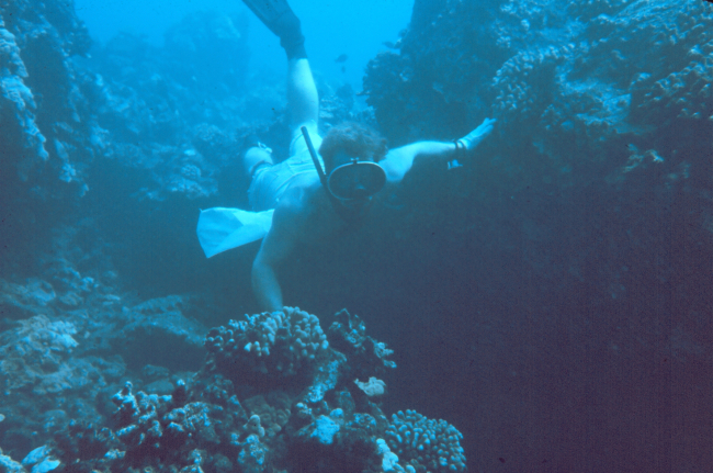 Snorkeling on the reef