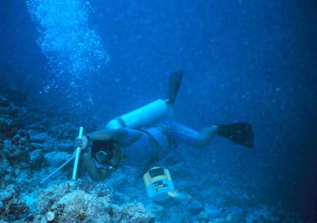 Scuba diving scientist installing marker