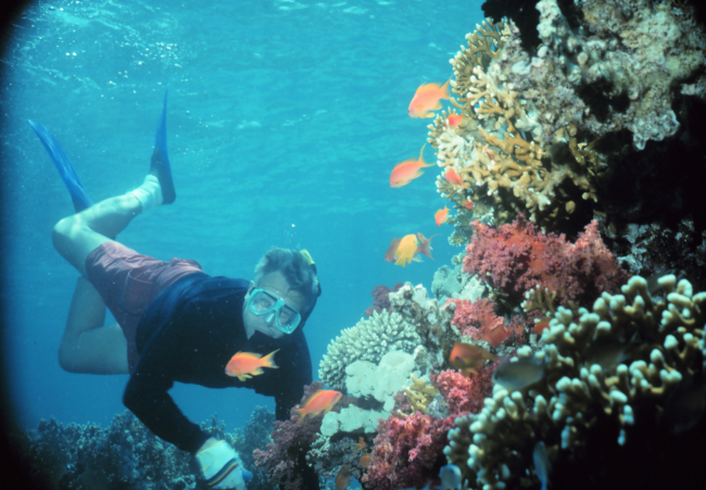 Ben Mieremet snorkeling on a Red Sea reef