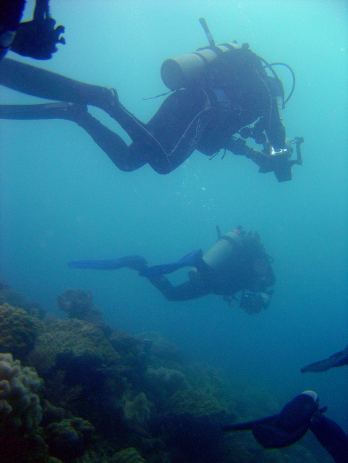 Divers on Hoyo Maru
