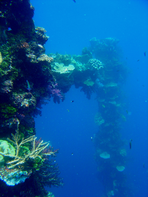 Coral encrusted mast on Sankisan Maru
