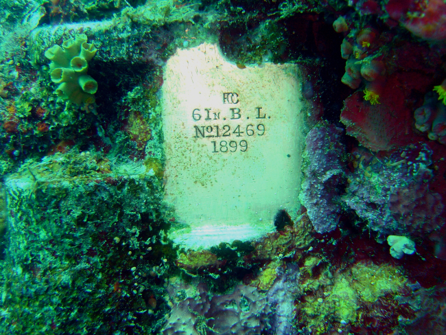 A plate on the Fujikawa Maru, probably indicating a machinery serial number