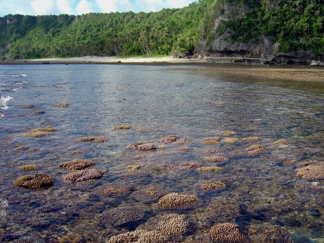 Shallow reef baring at low tide