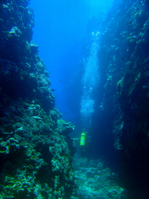 Diver between vertical walls on coral reef