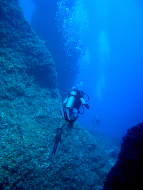 Diving along coral pinnacle structures