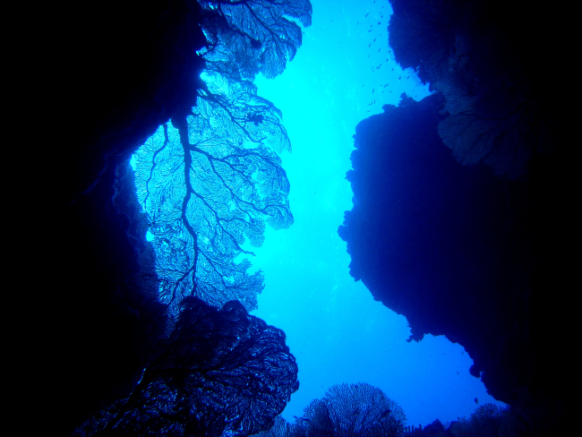 The view towards the surface from a crevasse