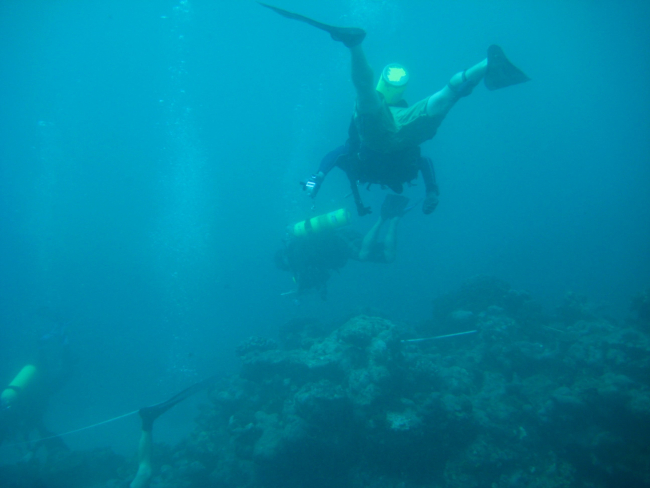 Scuba divers in murky water