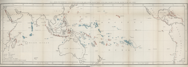 Darwin's world map of coral reef types and their distribution