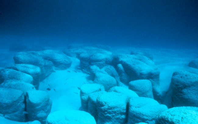 Giant stromatolites