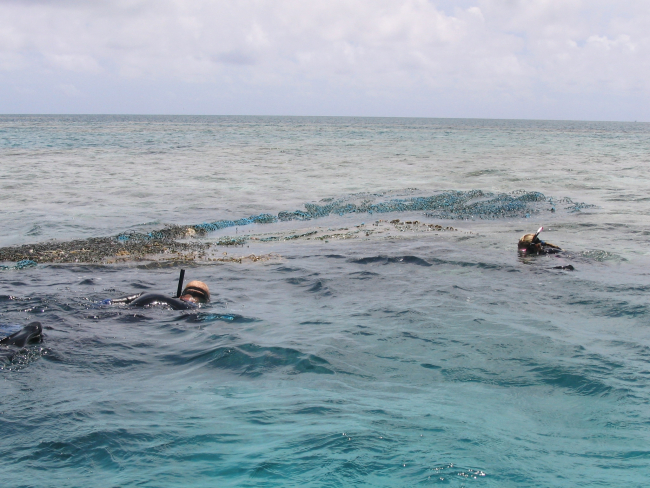 Snorkelers guiding a derelict net back to the inflatable boat for transport tothe contract vessel CASITAS
