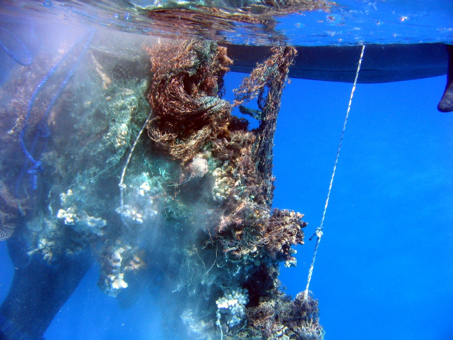 Derelict net prior to cutting out reef substrate material prior to loading oninflatable boat