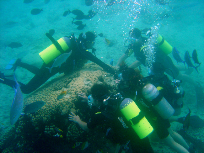 Dive tourists loving a coral reef structure to death as touching can damage orkill delicate coral polyps
