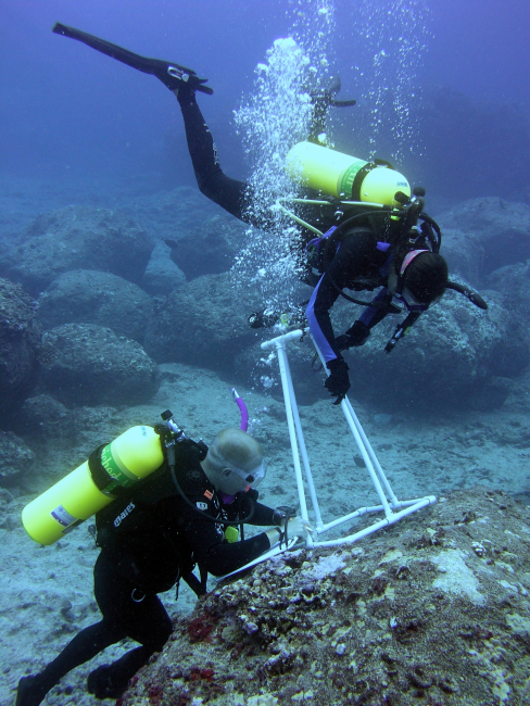 A biologist records algal diversity within a photoquadrat during an underwatersurvey at Midway Atoll