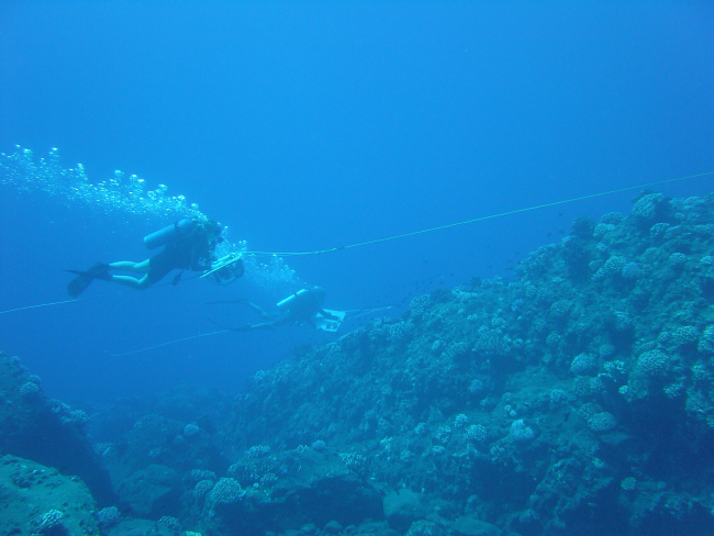 A tow-fish survey -scientists are towed behind a small boat in order to cover alarge area of reef in one day