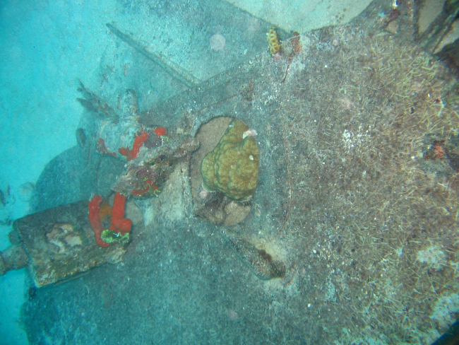 Wheel well and strut of Emily Flying Boat that was laying upside down