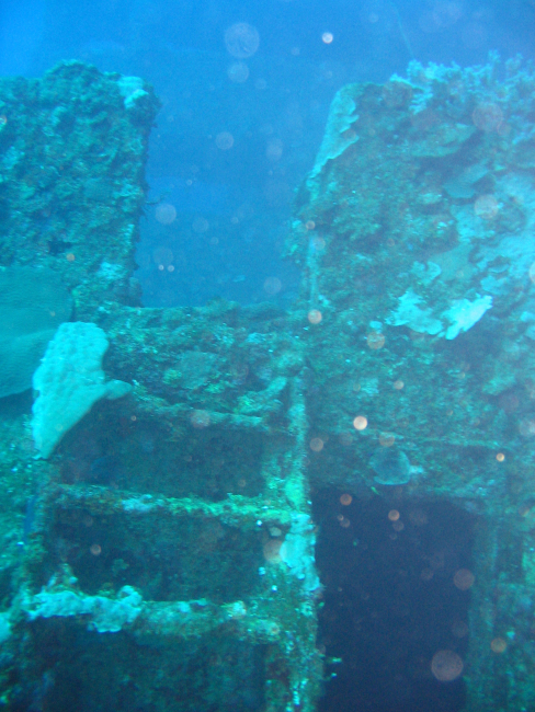 Ladder leading down from the flying bridge of the Nippo Maru