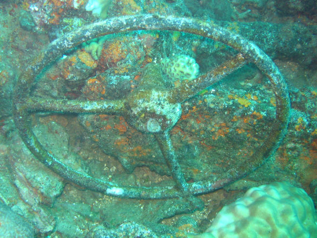 Truck steering wheel on the Sankisan Maru