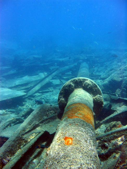 Main propulsion shaft from modern ship wreck on Pearl and Hermes Reef