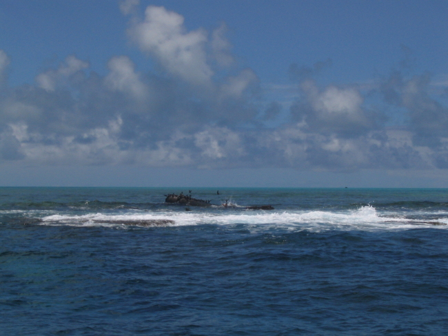Debris from modern ship wreck on Pearl and Hermes Reef extending abovesurface