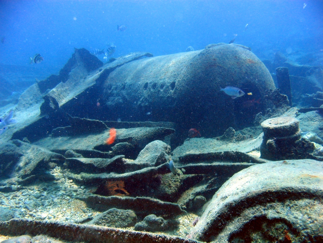 Boiler from modern ship wreck on Pearl and Hermes Reef