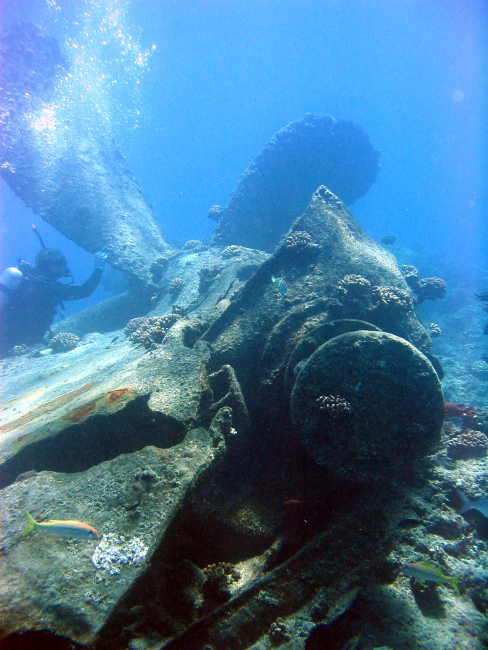 Diver next to propeller giving concept of scale of machinery from modernship wreck on Pearl and Hermes Reef