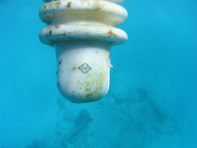 Electrical insulator found in debris field of early Twentieth Century wreck onPearl and Hermes Reef