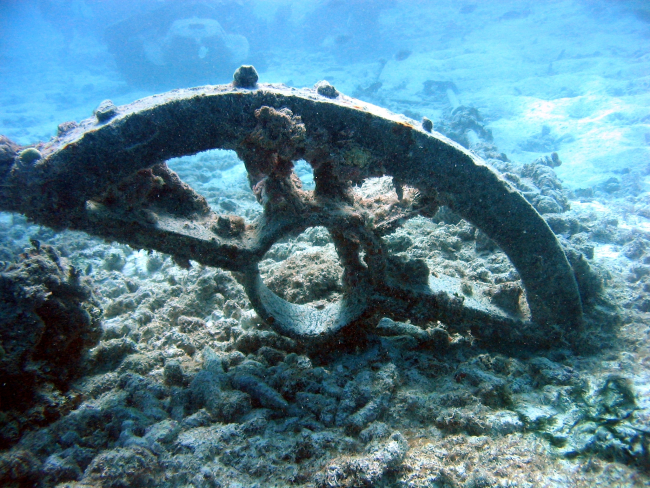 Debris from early Twentieth Century wreck on Pearl and Hermes Reef