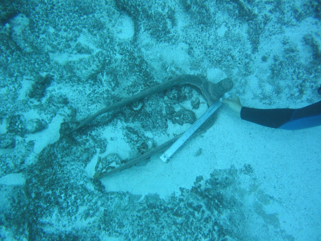 Pintle from early Nineteenth Century whaling vessel on Pearl and Hermes Reef