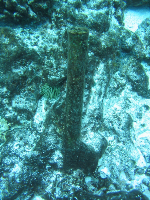 Copper fastener protruding from seafloor from early Nineteenth Century whalingvessel on Pearl and Hermes Reef