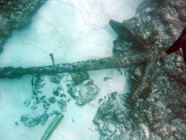Diver's arm shows scale of anchors seen in image reef3696