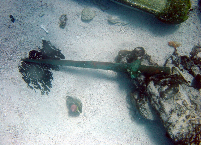 Copper fasteners from ship wreck of Nineteenth Century whaling vessel onPearl and Hermes Reef