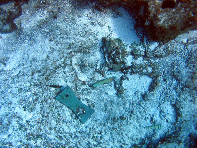 Various copper fasteners from ship wreck of early Nineteenth Century whalingvessel on Pearl and Hermes Reef