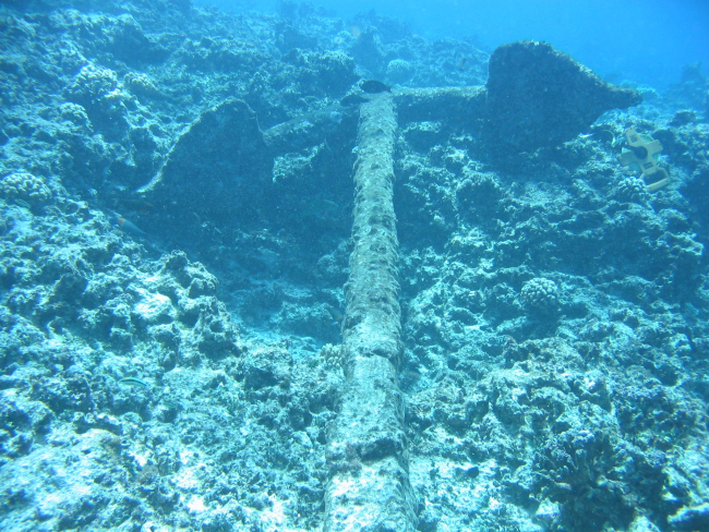 Anchor from the ship wreck of a whaling vessel on Pearl and Hermes Reef