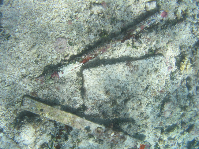 Random debris on Maro Reef