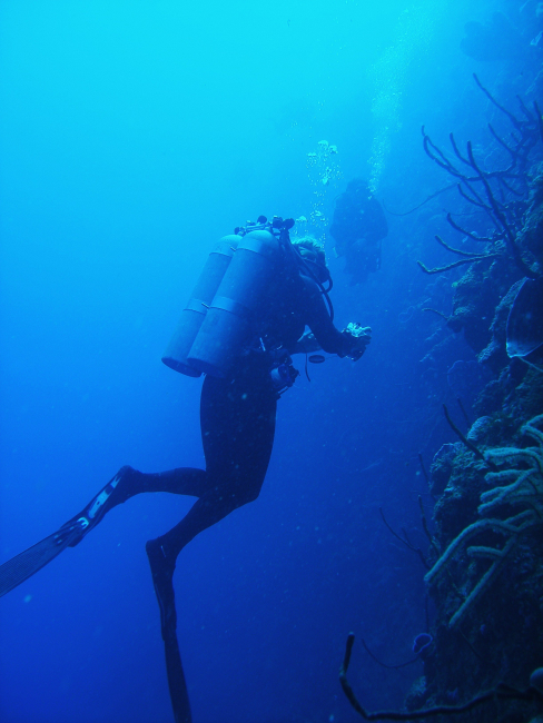 Technical divers exploring the deep wall community