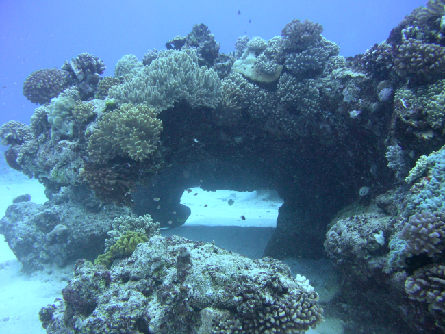 A natural bridge formed by coral growth