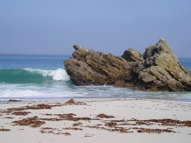 Kelp on sandy beach, a rocky outcrop, and emerald waves breaking on the shore