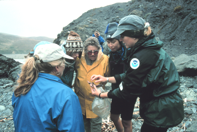 Visitors learning about an intertidal region of the sanctuary