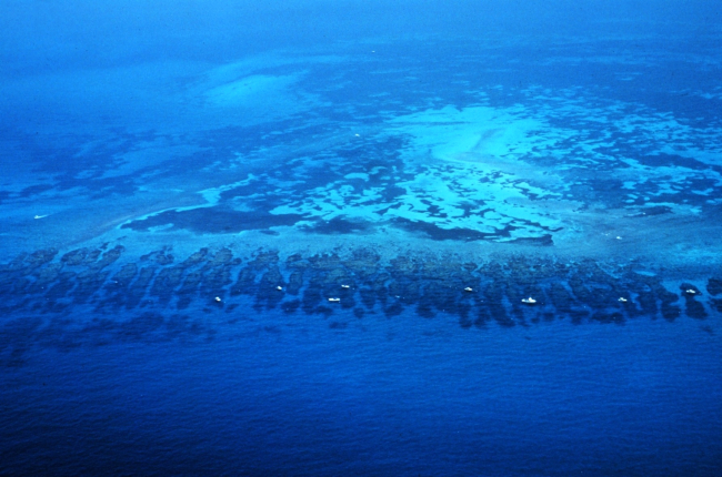 Aerial view of Florida Reef from the Gulf Stream side of the reef