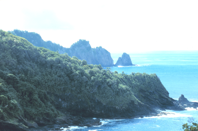 American Samoa shoreline