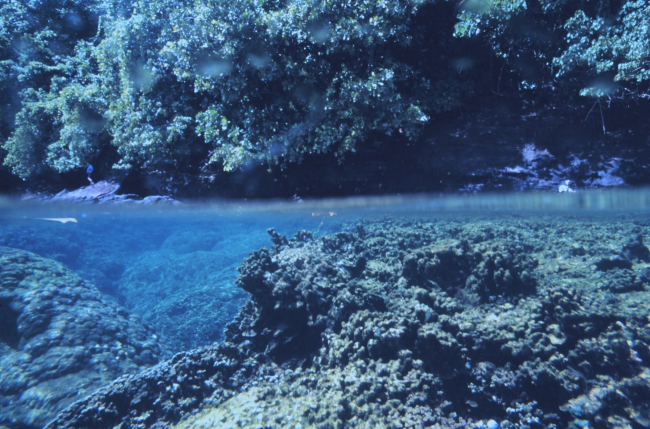 Shallow coral reef along American Samoa shoreline