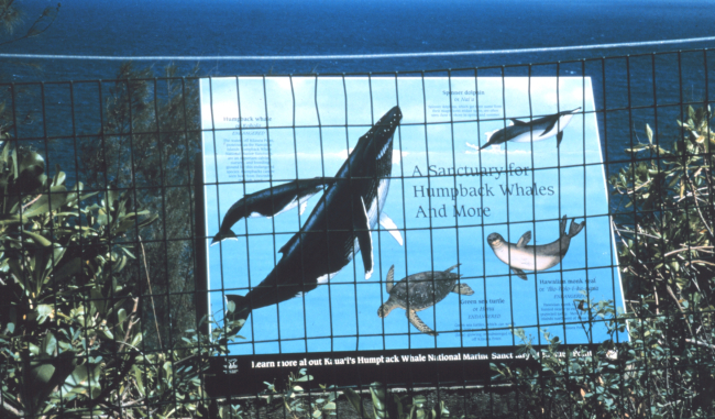 Sanctuary signage at Kilauea Point