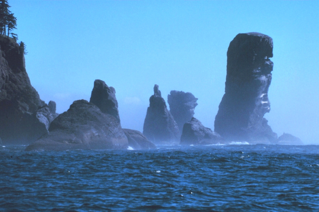 Fuca Pillar at Cape Flattery, the northwest extremity of the Olympic Peninsula