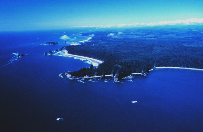 Aerial view of Teahwhit Head and James Island